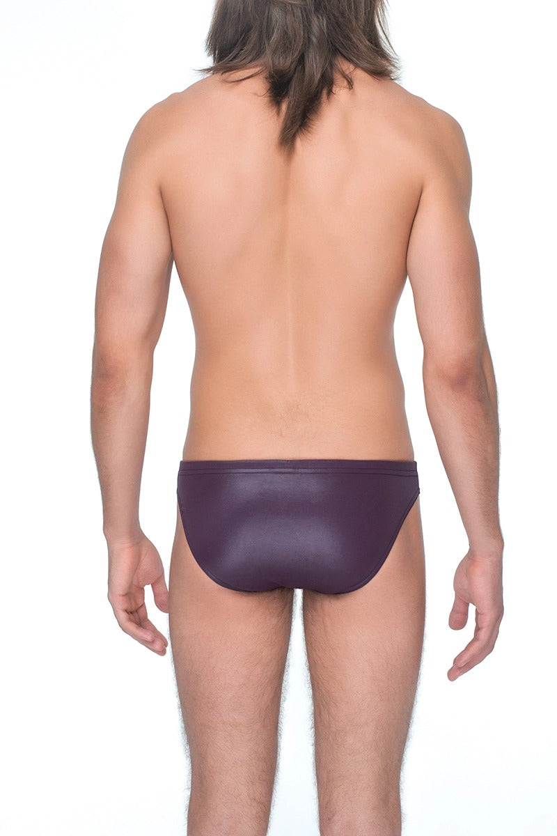 Мужские плавки слипы 132-1B eggplant