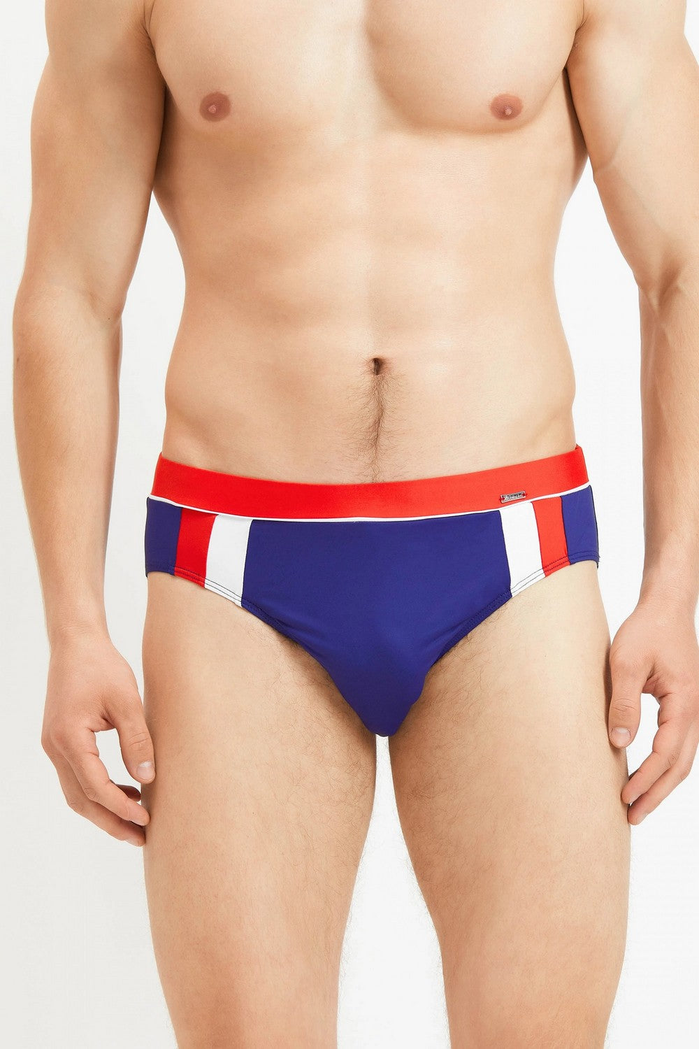 Мужские плавки брифы 135-5 blue