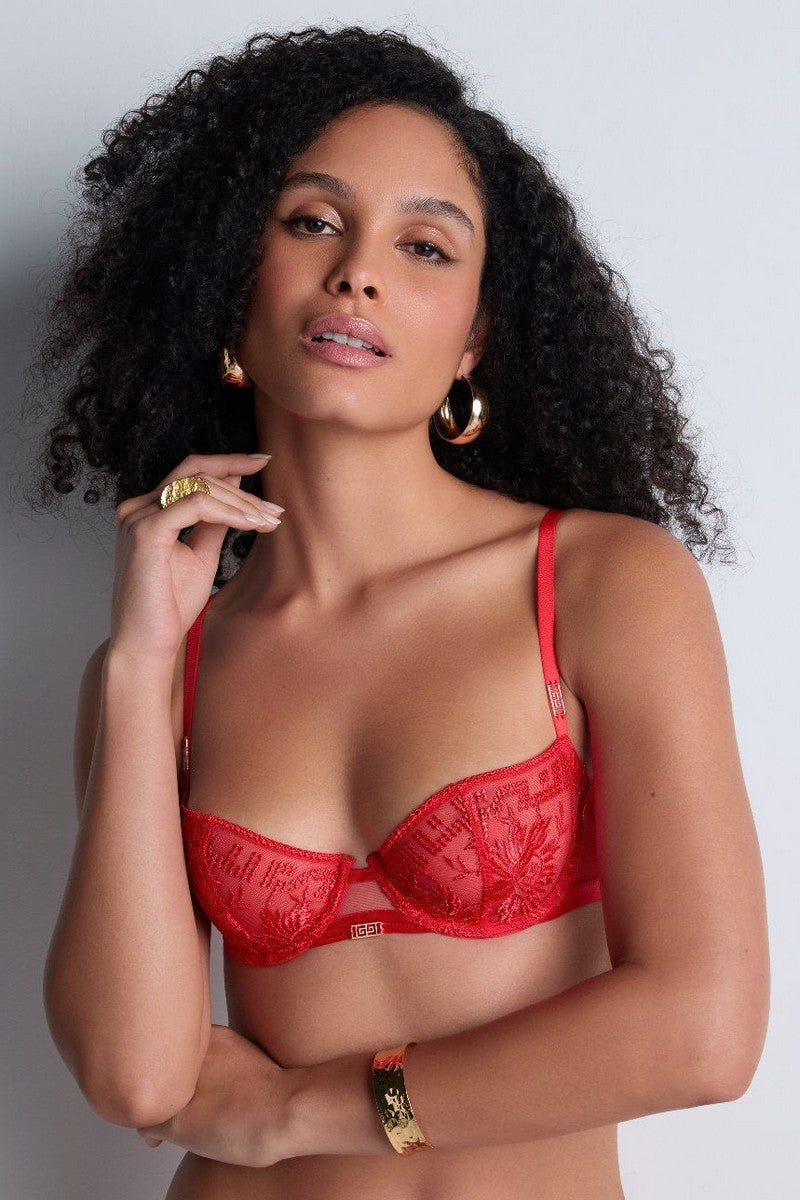 Бюстгальтер с вышивкой 4BF14 Rules of Attraction flame