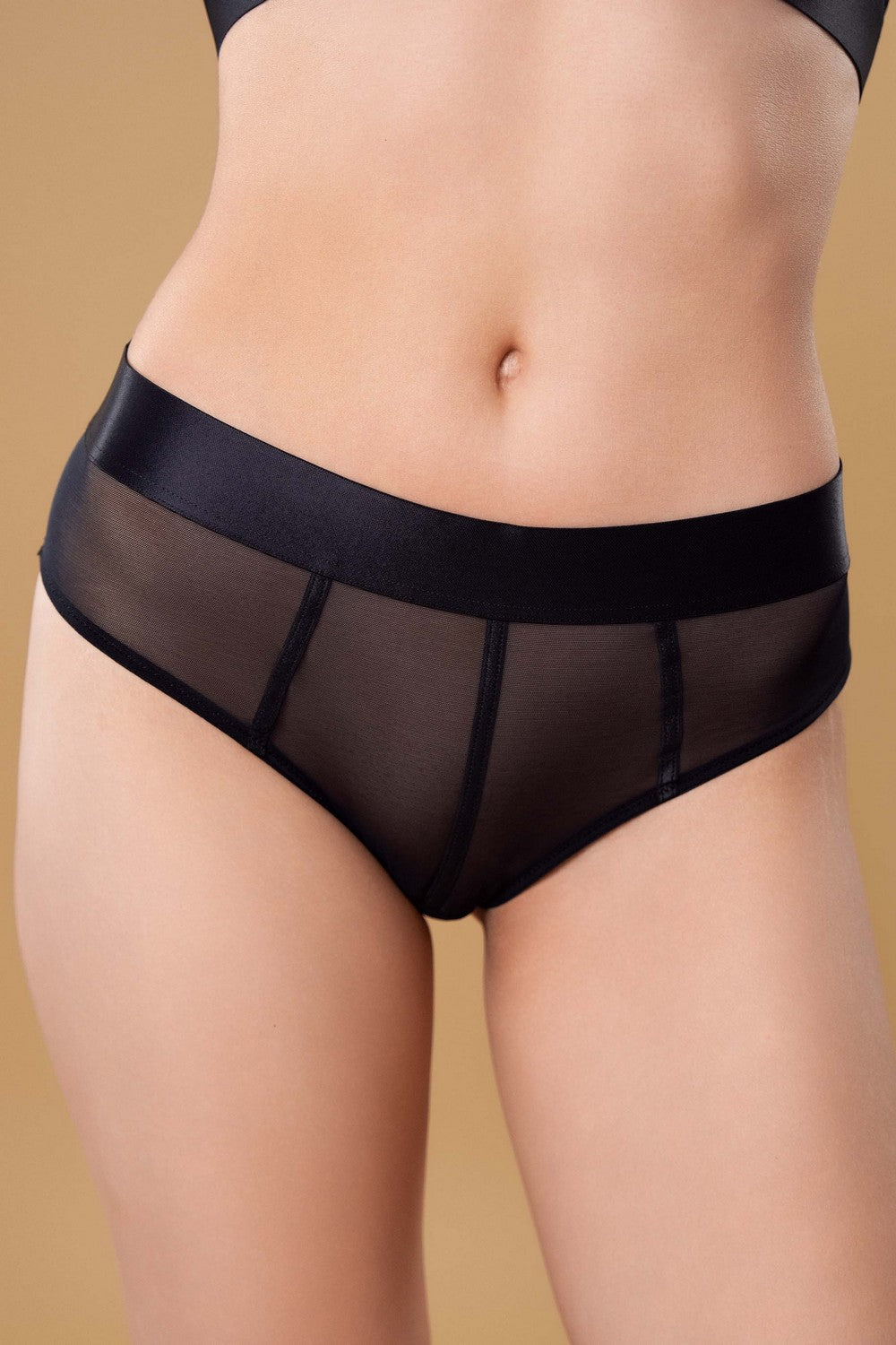 Трусики слип из микросетки SLZ27302011 black