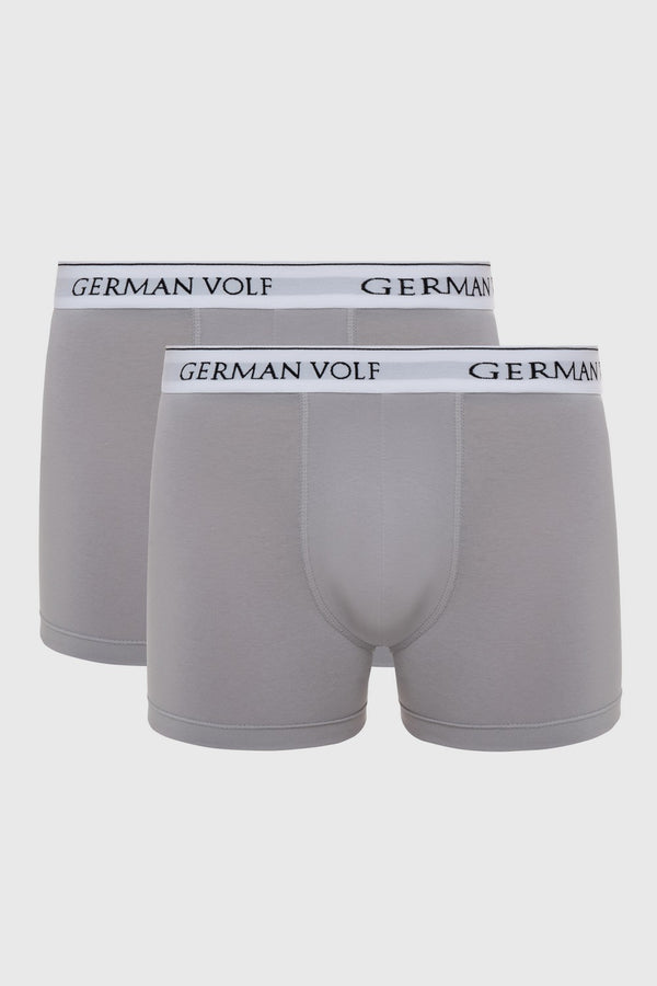Мужские трусы шорты 23101-1 (2 шт.) gray