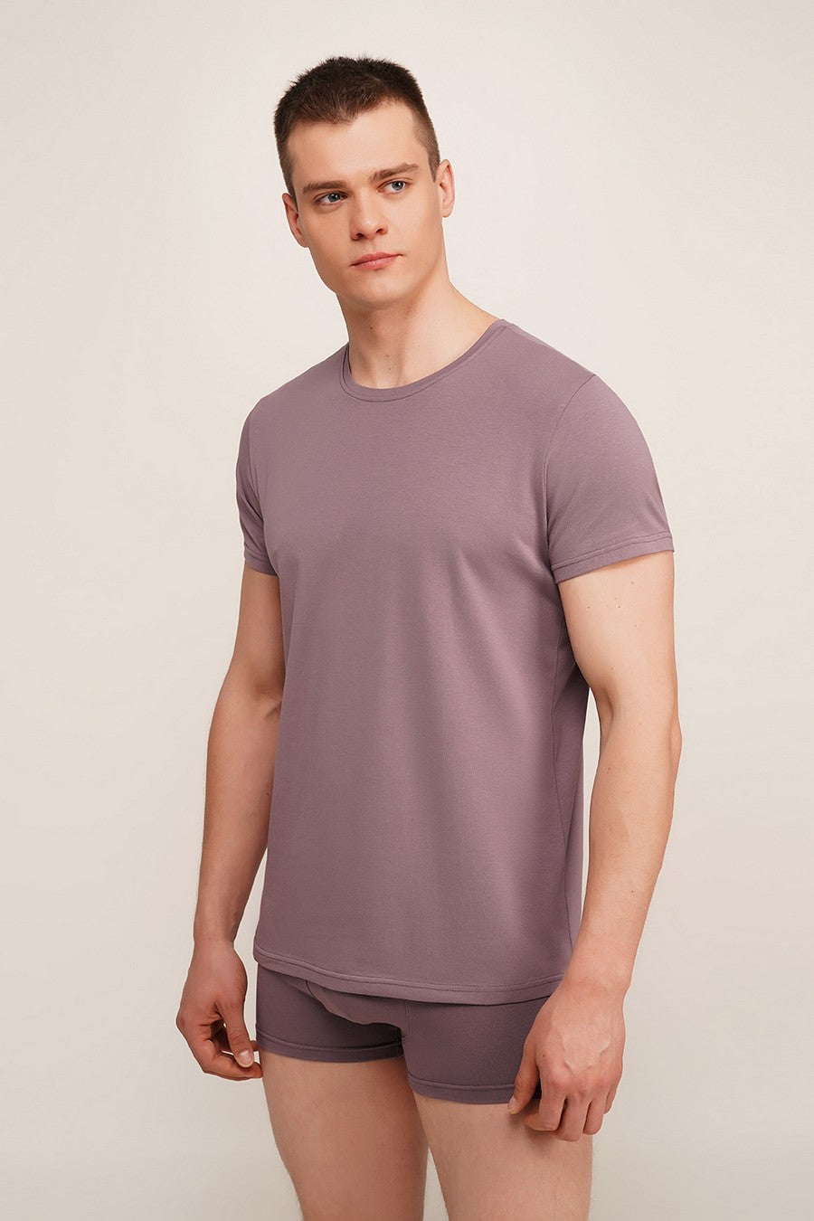 Чоловіча бавовняна футболка UP-00002609 muted mauve