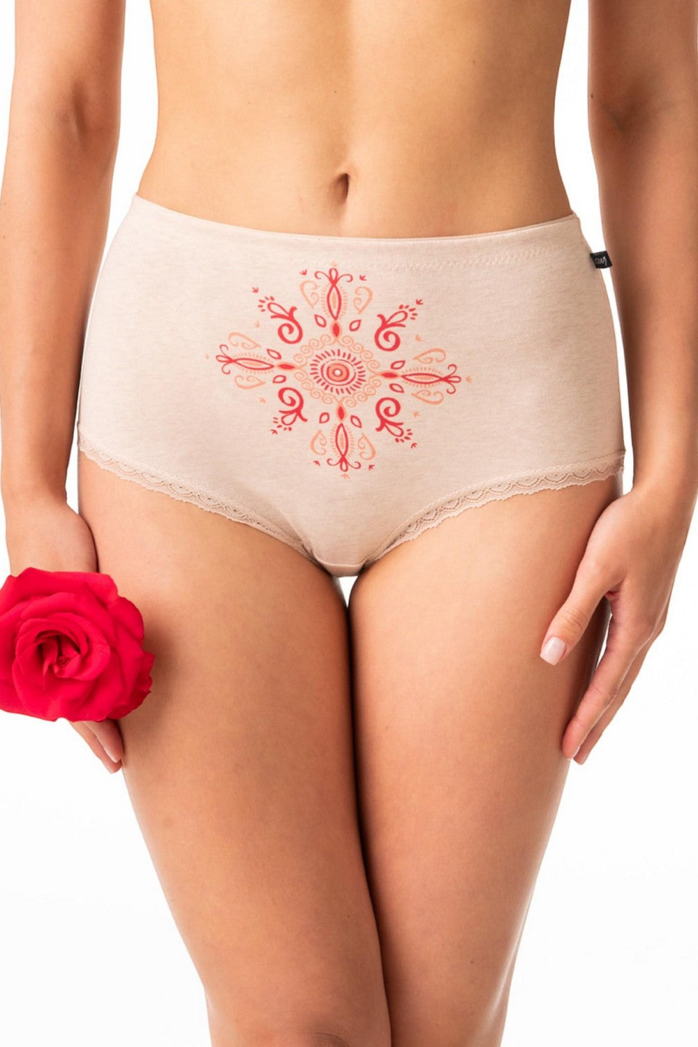 Высокие трусики слип из хлопка LPF 218 A24 (2 шт.)