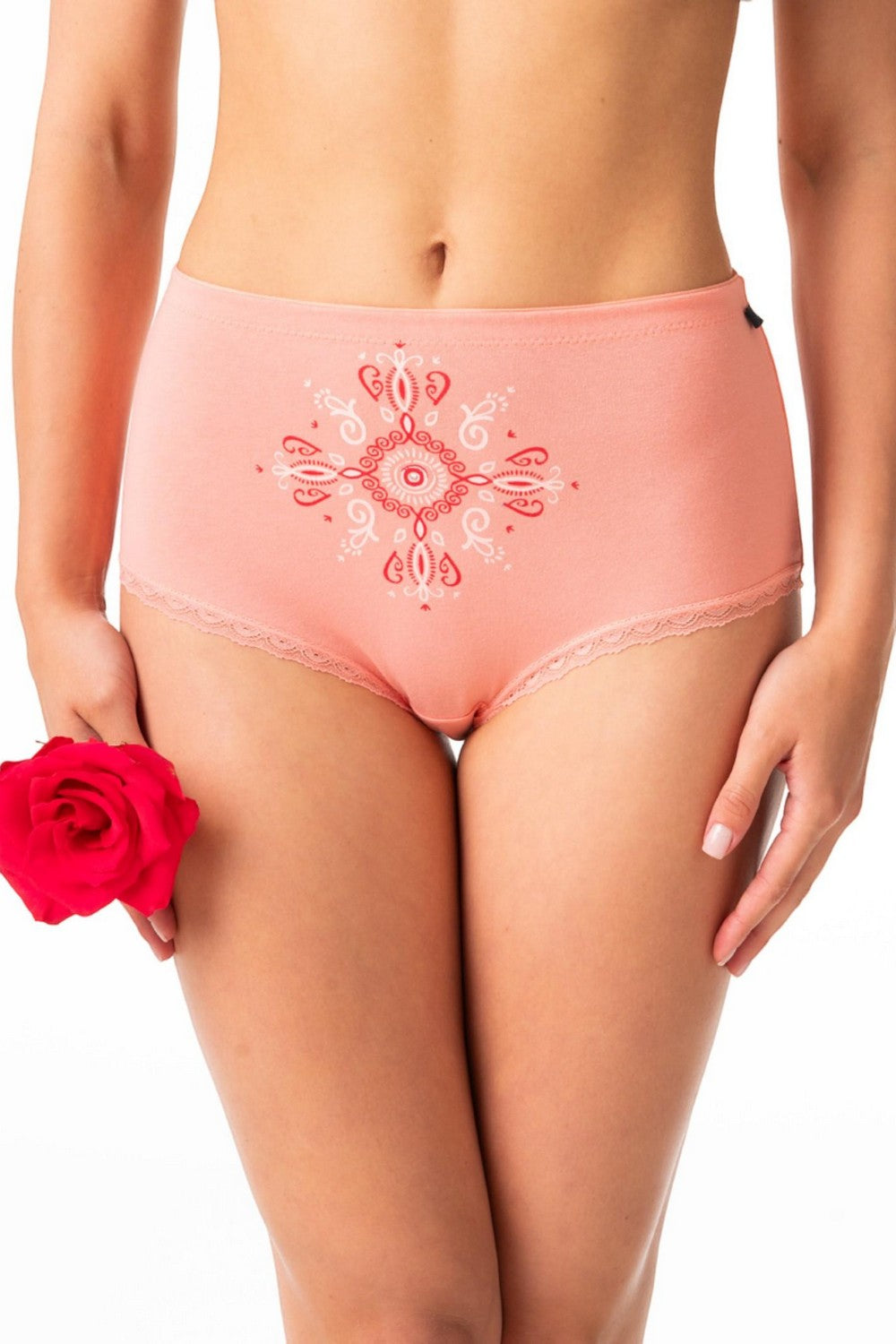 Высокие трусики слип из хлопка LPF 218 A24 (2 шт.)