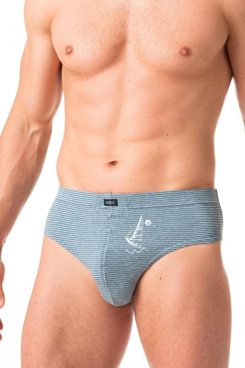 Мужские трусы слип MPP 367 A24 (2 шт.) blue/melange