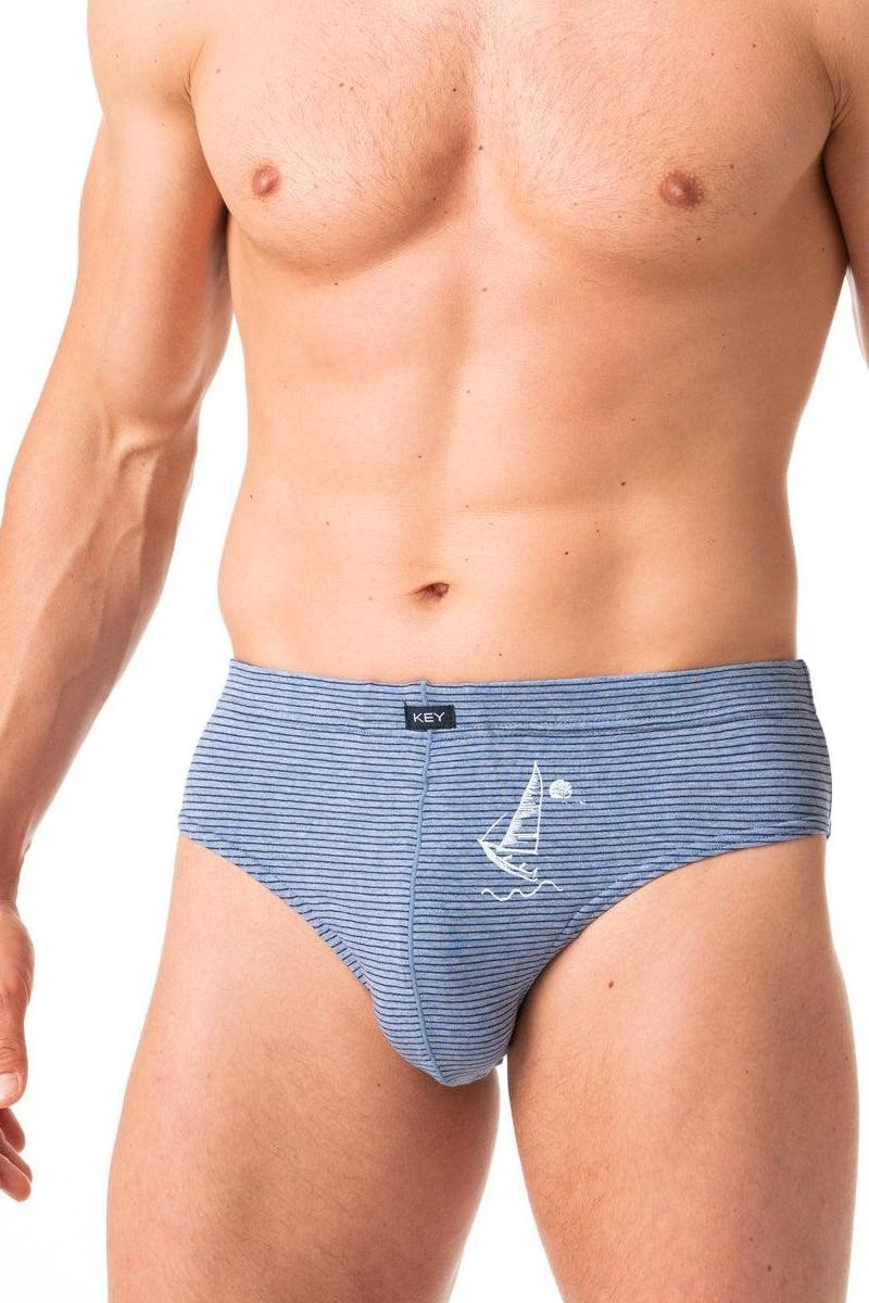 Мужские трусы слип MPP 367 A24 (2 шт.) blue/melange