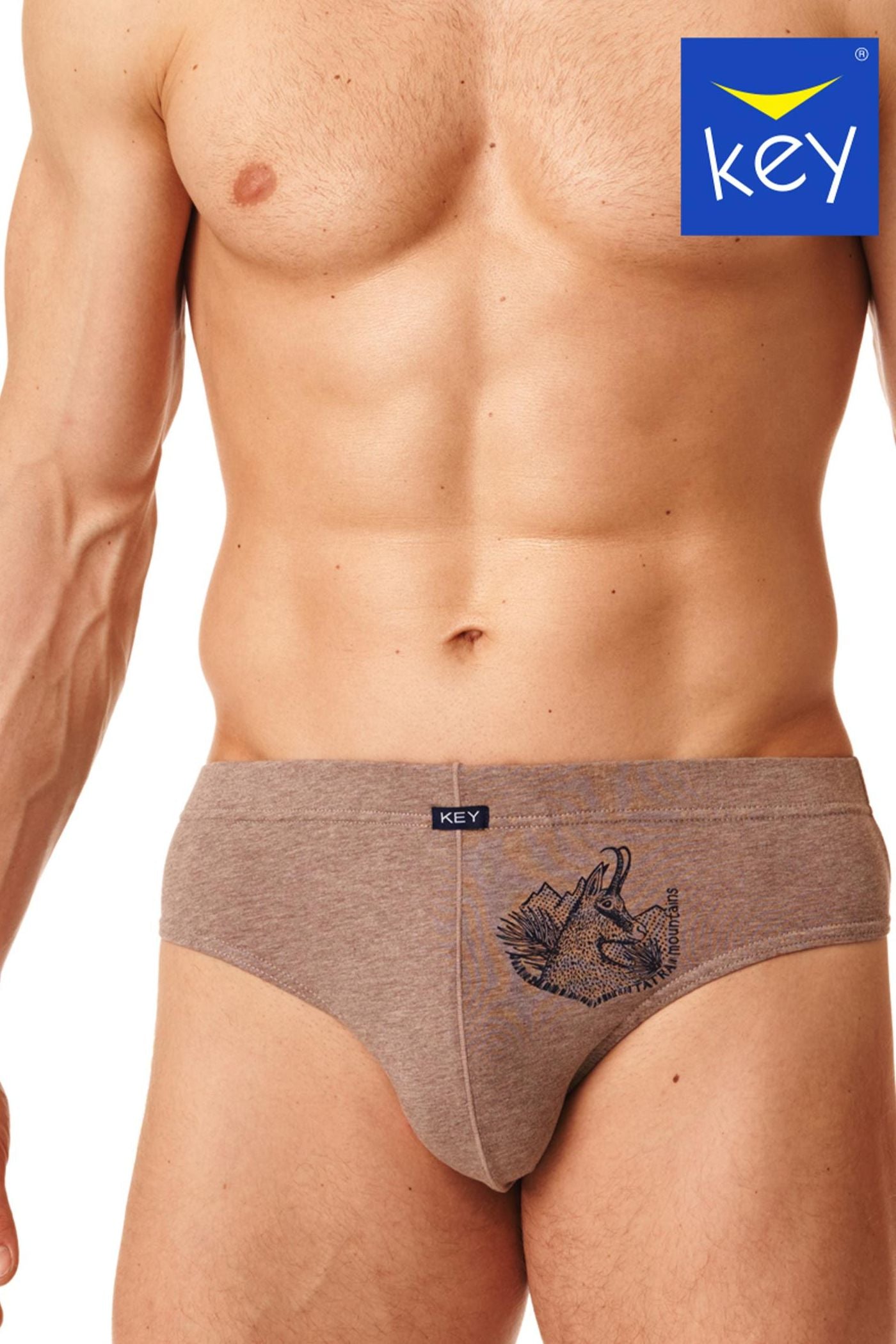 Мужские трусы слип из хлопка MPP 512 (2 шт.)