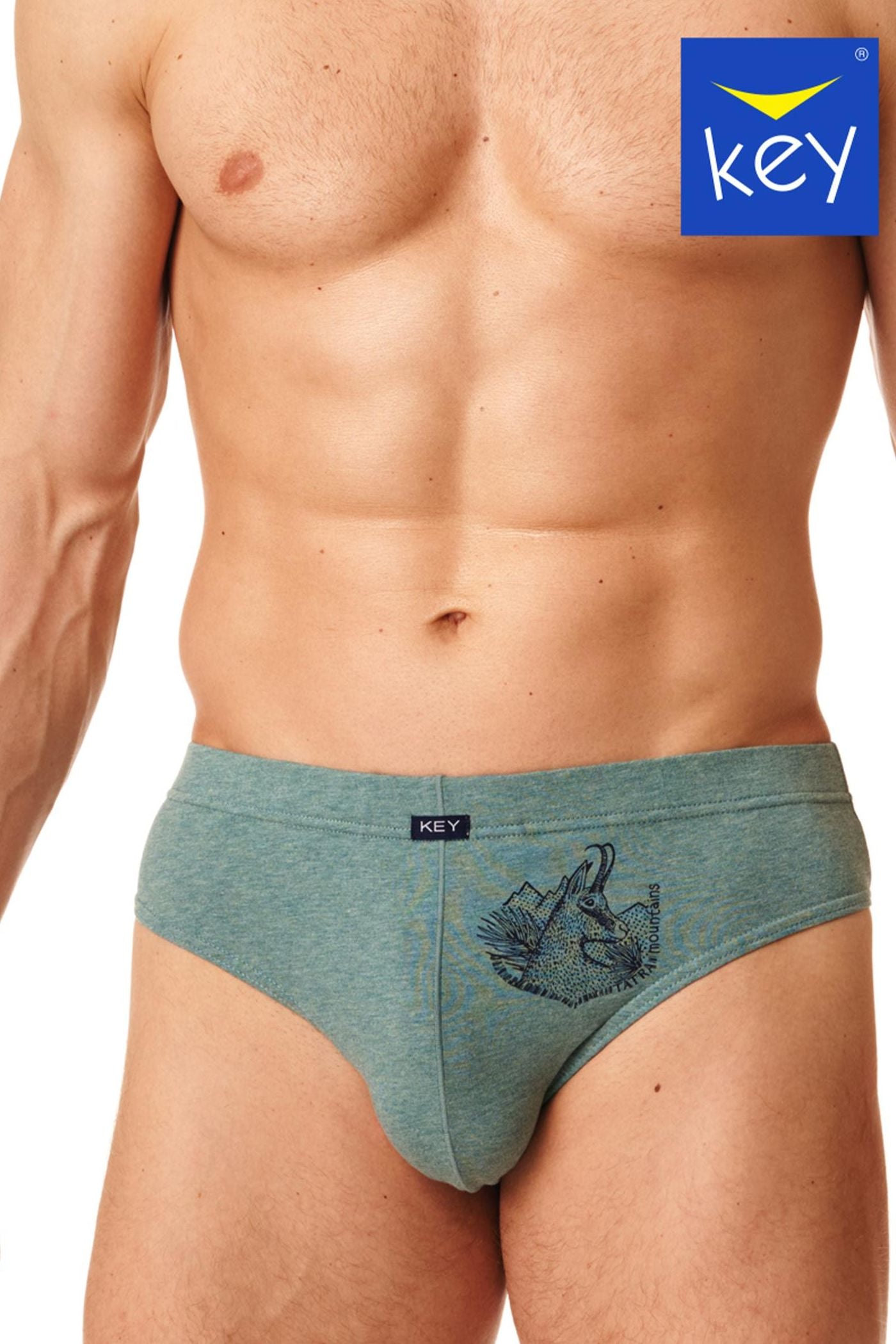 Мужские трусы слип из хлопка MPP 512 (2 шт.)