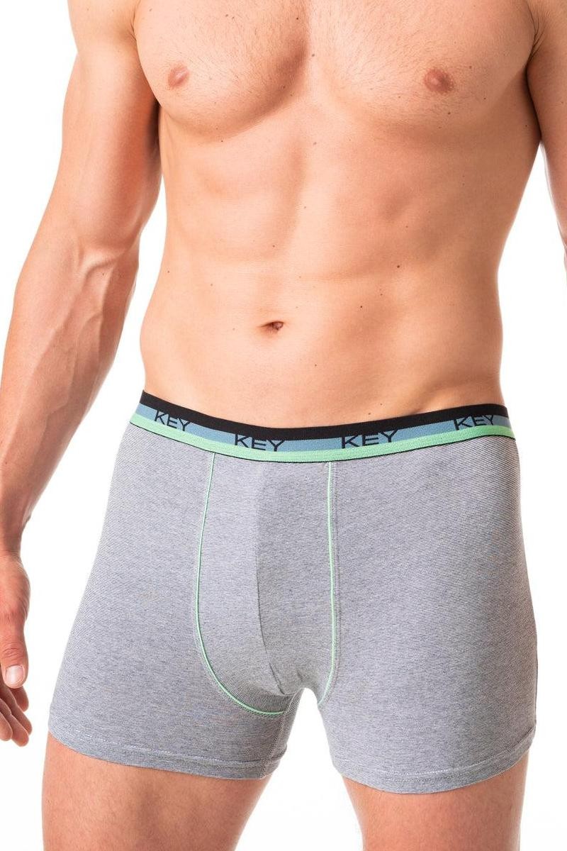 Мужские трусы шорты MXH 188 A24 melange