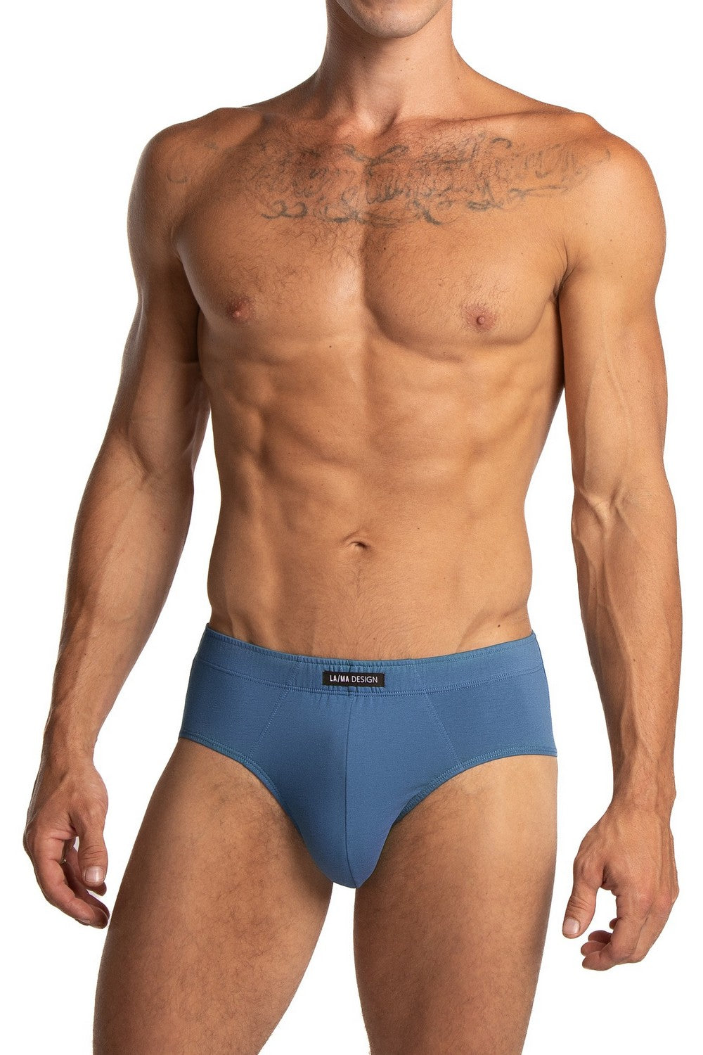 Мужские трусы слип 1069CL gray/blue/dark blue (2 шт.)