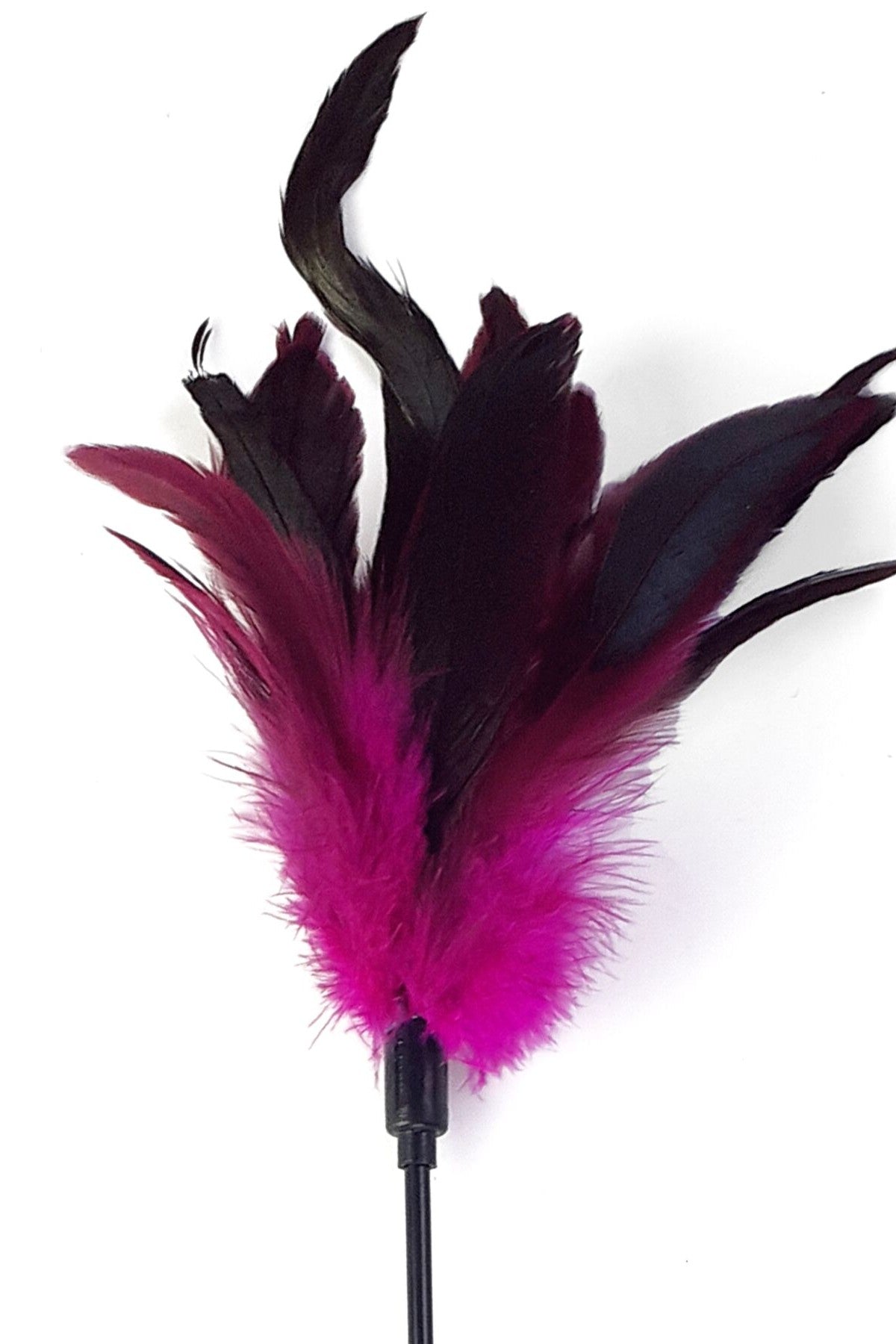 Стек с пером петуха Feather Paddle pink