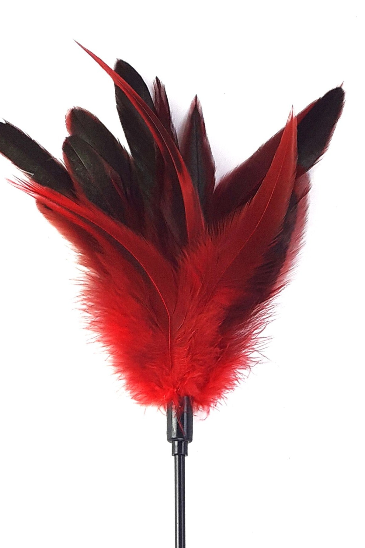 Стек с пером петуха Feather Paddle red