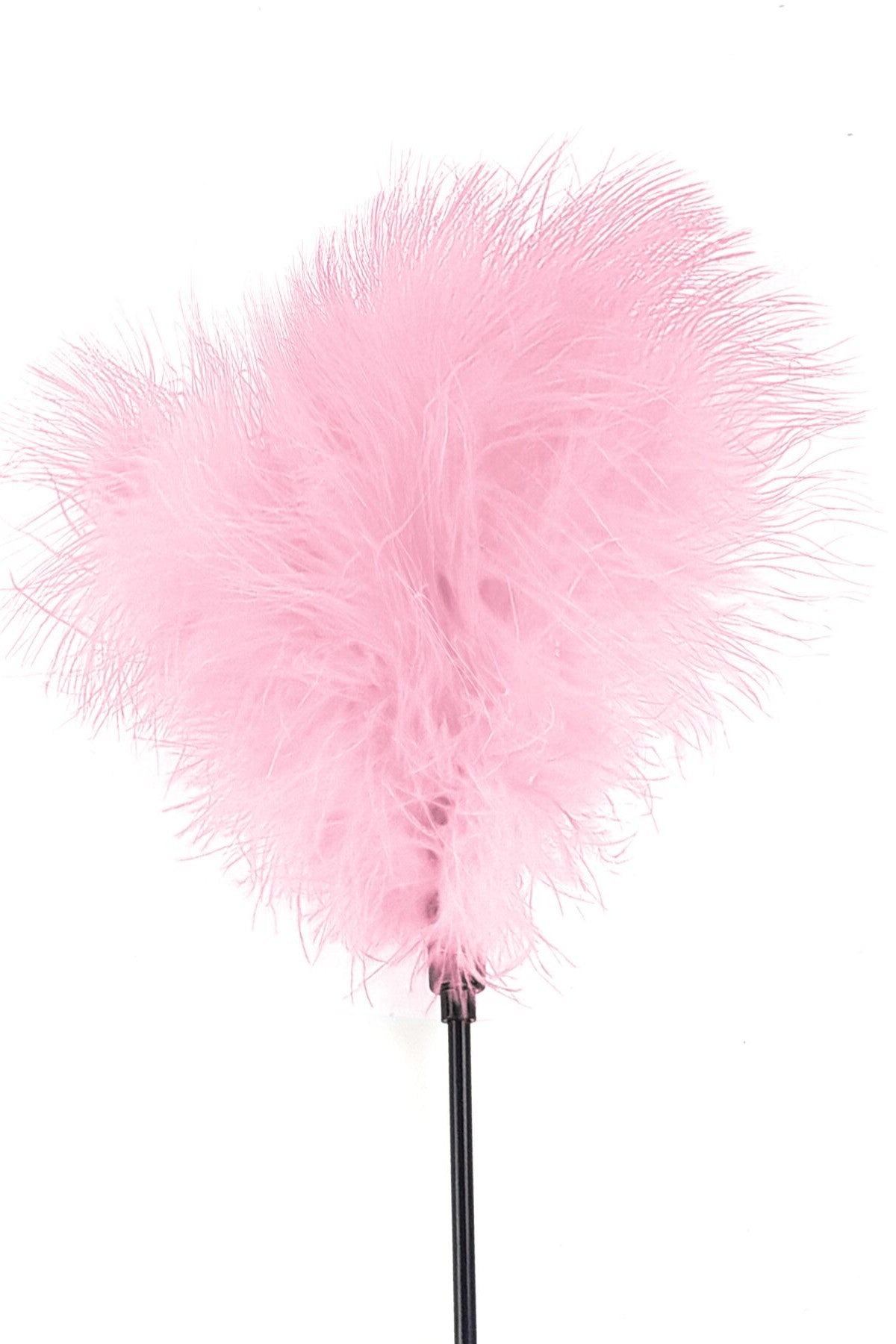 Стек с пером индюка Feather Paddle rose