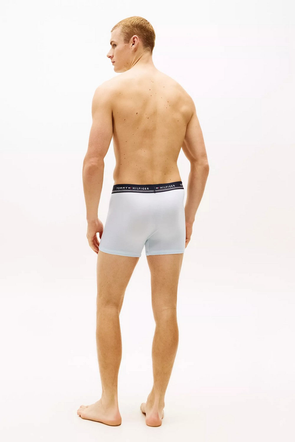 Чоловічі труси шорти 208272019 (3 шт.) multi Tommy Hilfiger спина