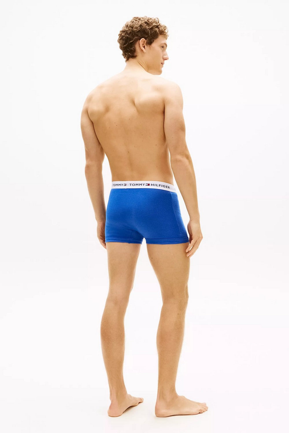Чоловічі труси шорти 564371897 (3 шт.) multi Tommy Hilfiger спина