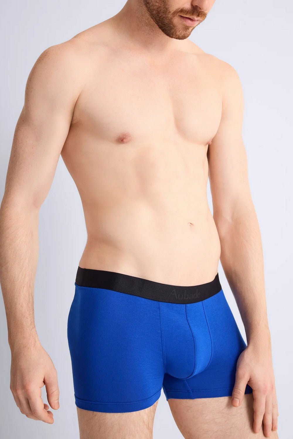 Чоловічі труси шорти XB58T birds/bleu (2 шт.)