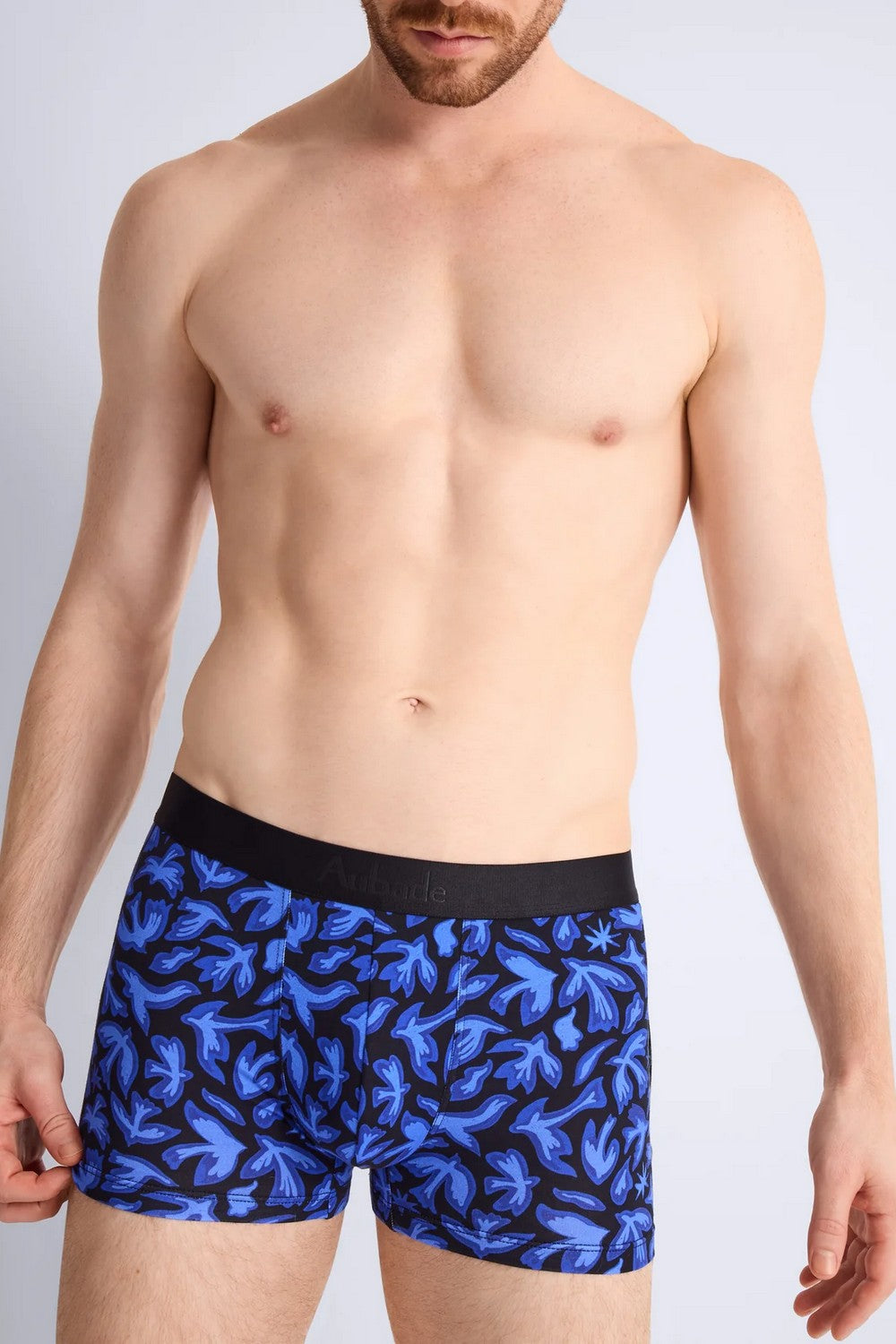 Чоловічі труси шорти XB58T birds/bleu (2 шт.)