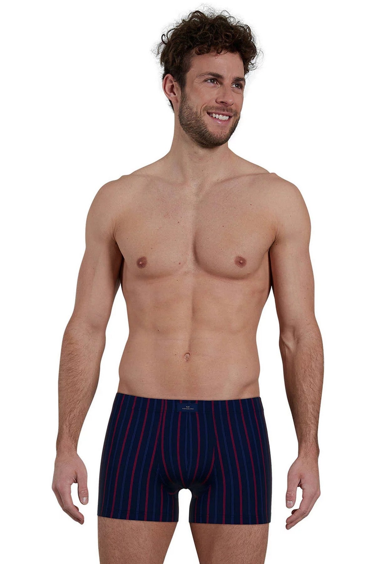 Мужские трусы шорты 743542 633