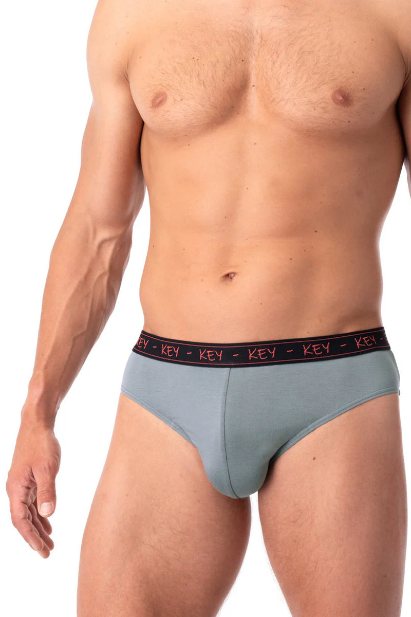 Чоловічі труси сліпи MPP 178 A25 (2 шт.)