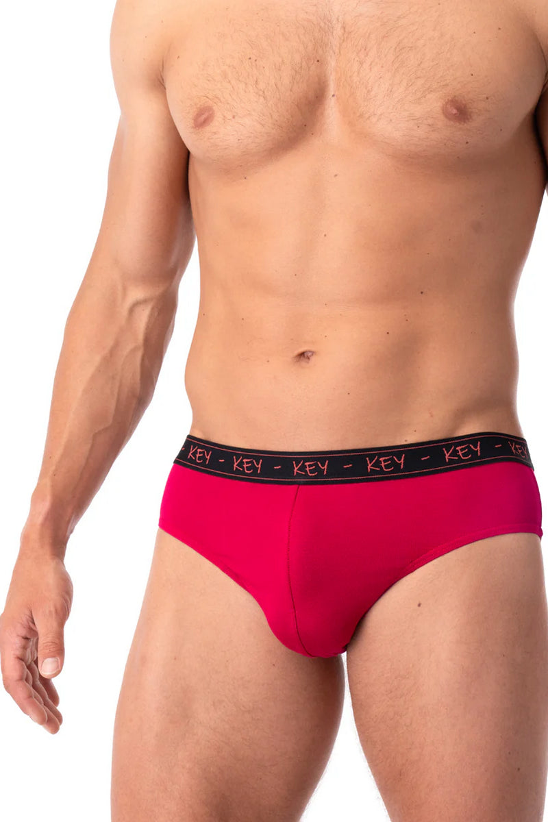 Мужские трусы слип MPP 178 A25 (2 шт.)