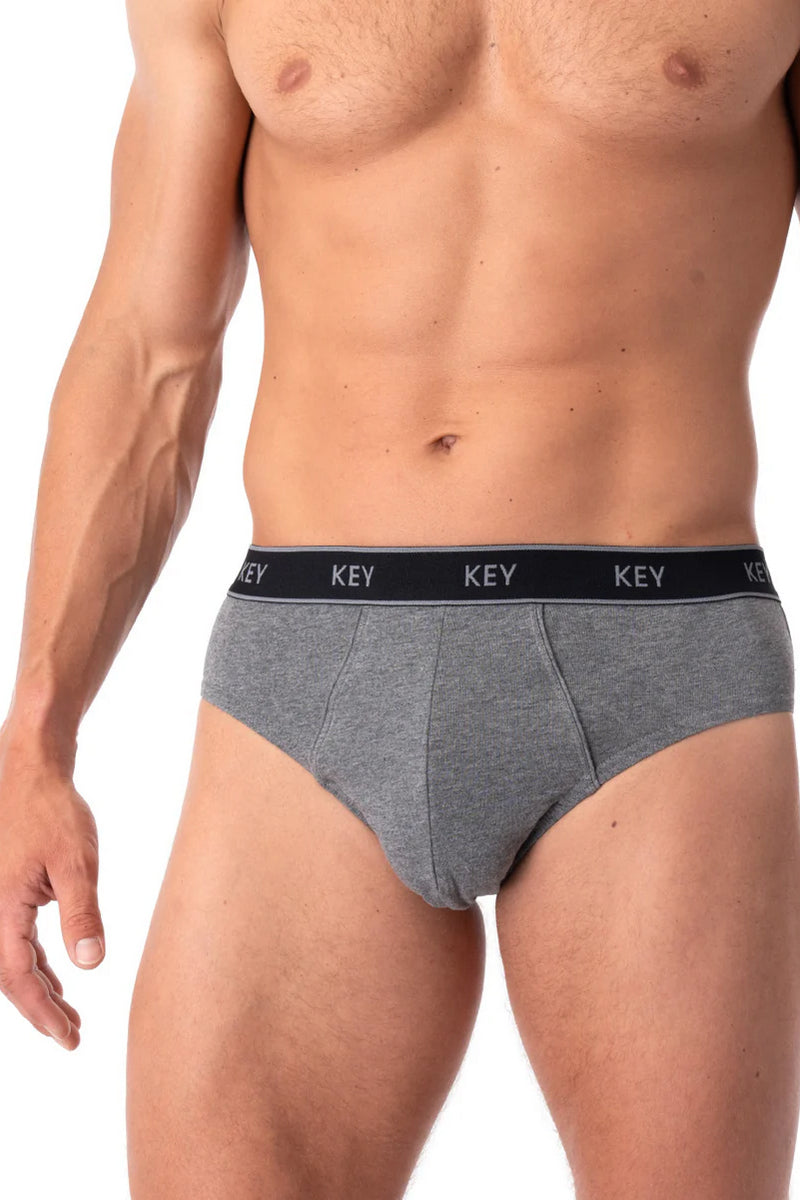 Мужские трусы слип MPP 222 dark gray (2 шт.)