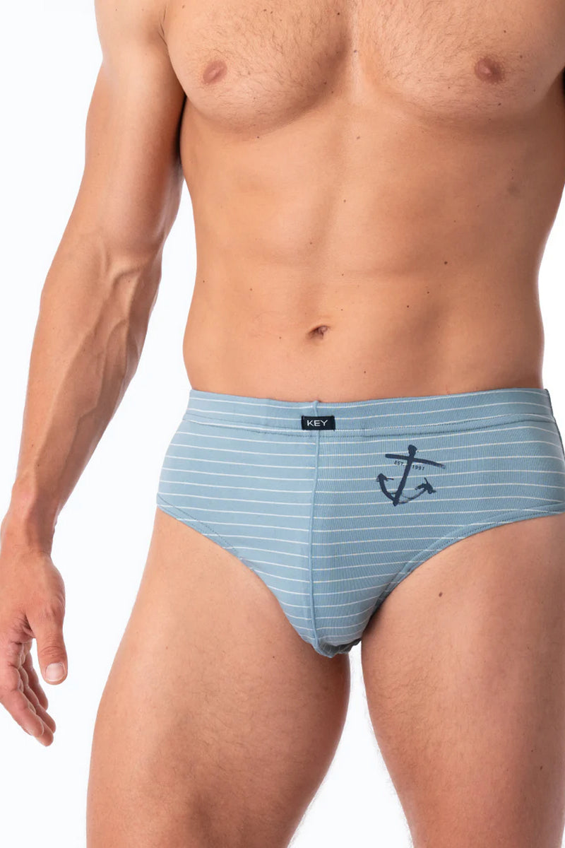 Мужские трусы слип MPP 251 A25 (2 шт.)