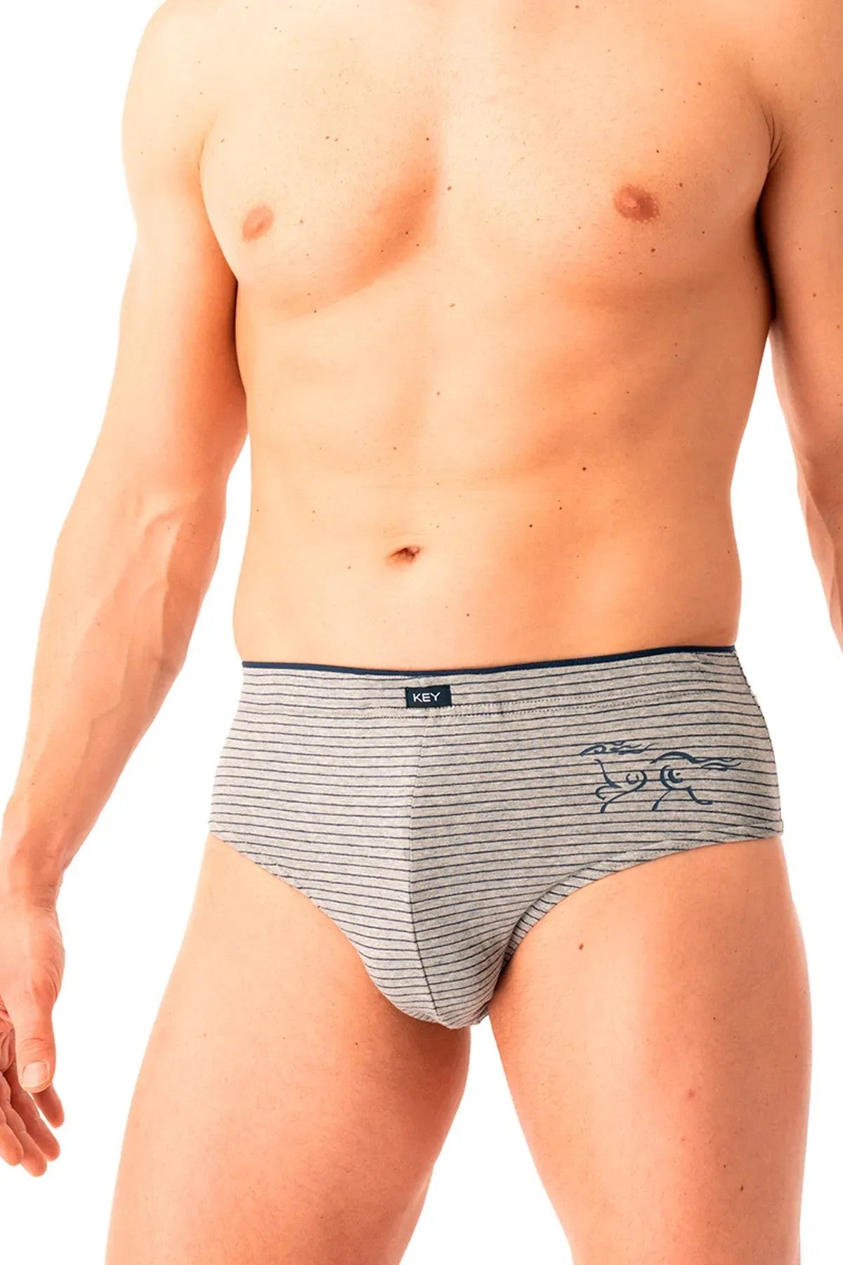 Мужские трусы слип MPP 354 B25 blue/gray (2 шт.)