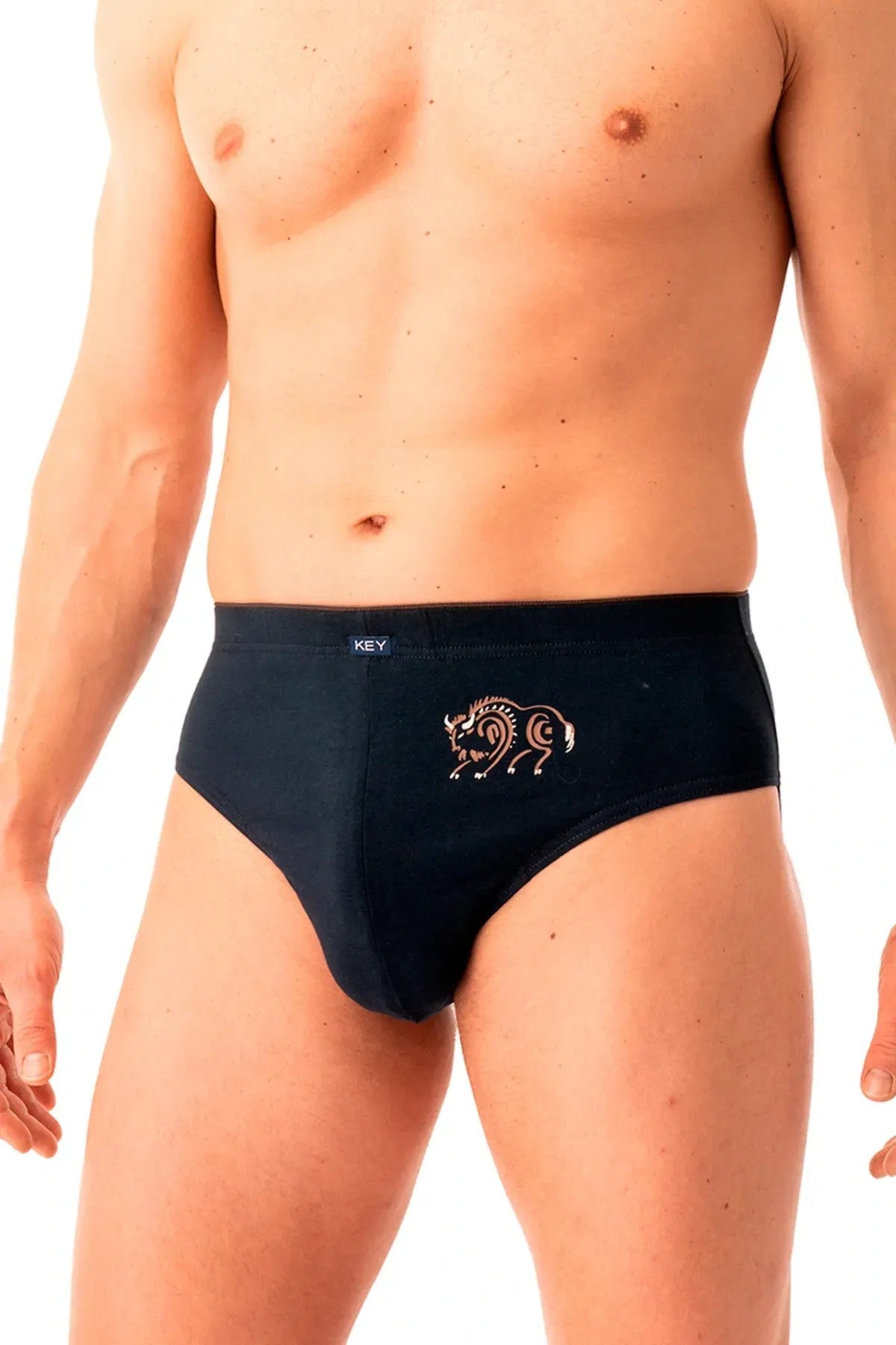 Мужские трусы слип MPP 706 B25 brown/black (2 шт.)