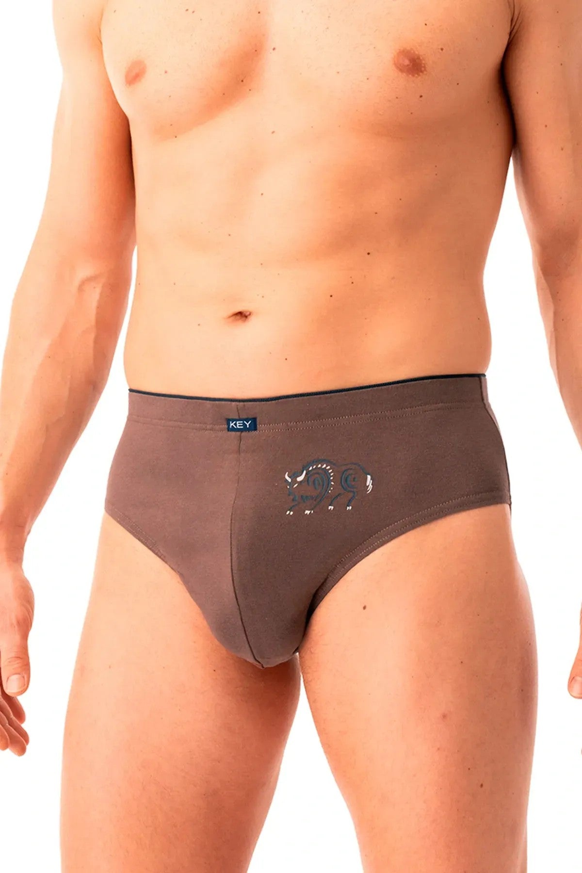 Мужские трусы слип MPP 706 B25 brown/black (2 шт.)