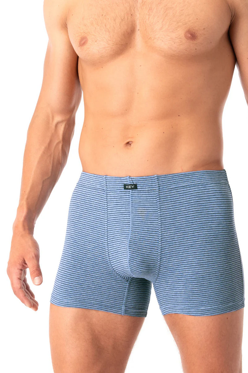 Мужские трусы шорты MXH 073 A25 blue/gray