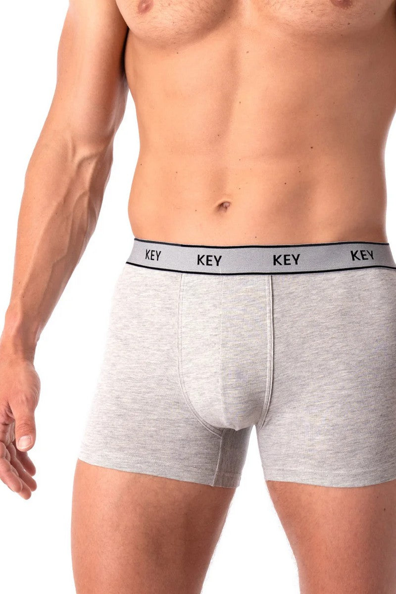 Мужские трусы шорты MXH 222 gray