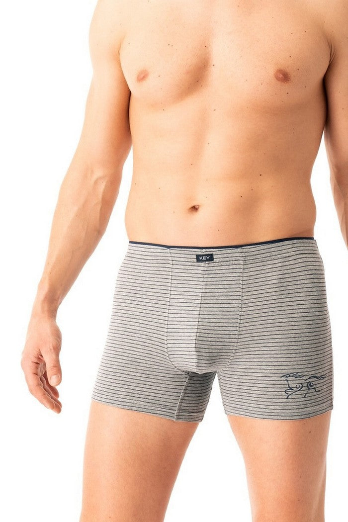 Мужские трусы шорты MXH 354 B25 melange