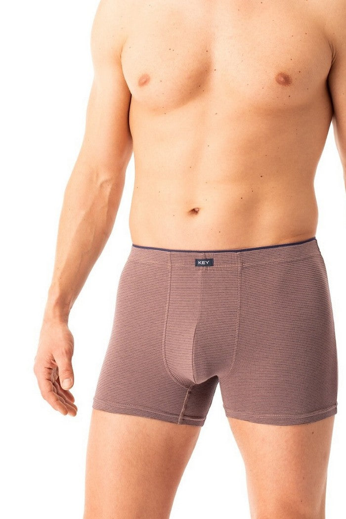 Мужские трусы шорты MXH 358 B25 brown