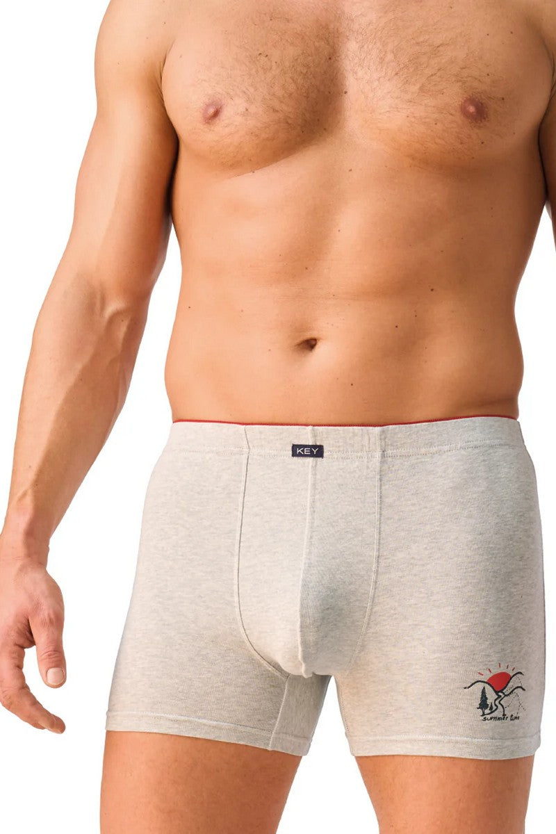Мужские трусы шорты MXH 761 gray