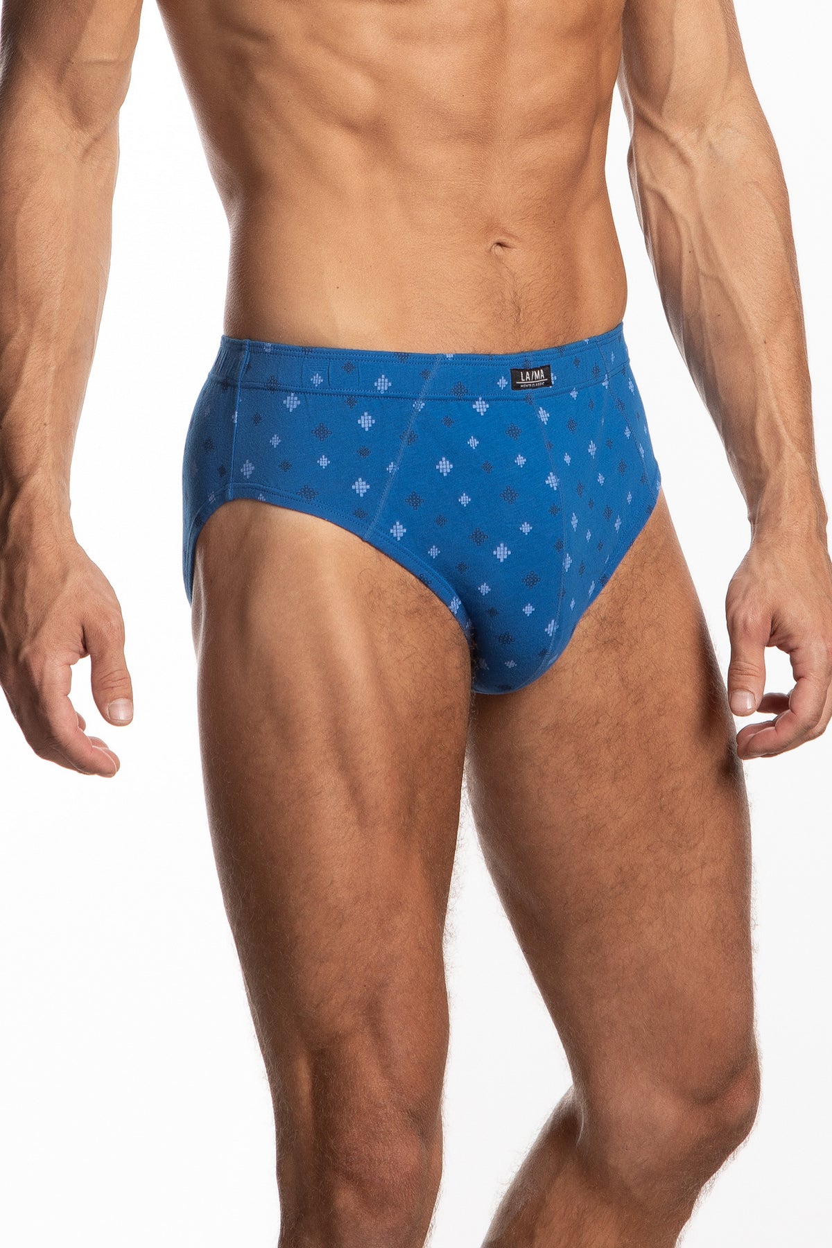 Мужские трусы слип 110CL-20 blue/gray