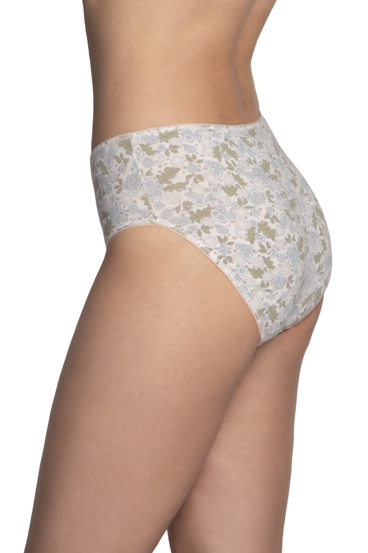 Хлопковые трусики слип 120BI-90 rose/milk/blue (3 шт.)