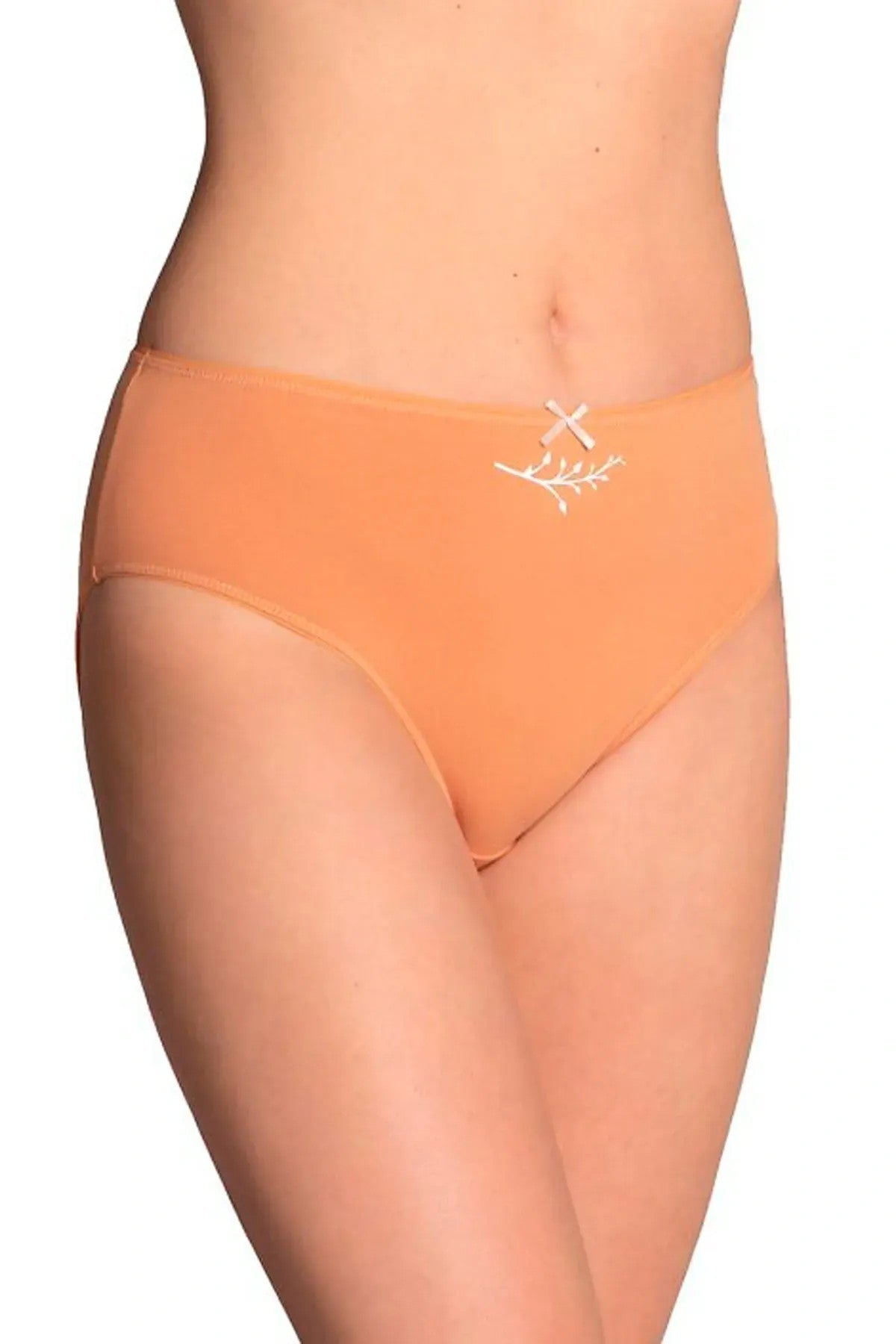 Хлопковые трусики слип 120BI-92 cofee/milk/beige (3 шт.)