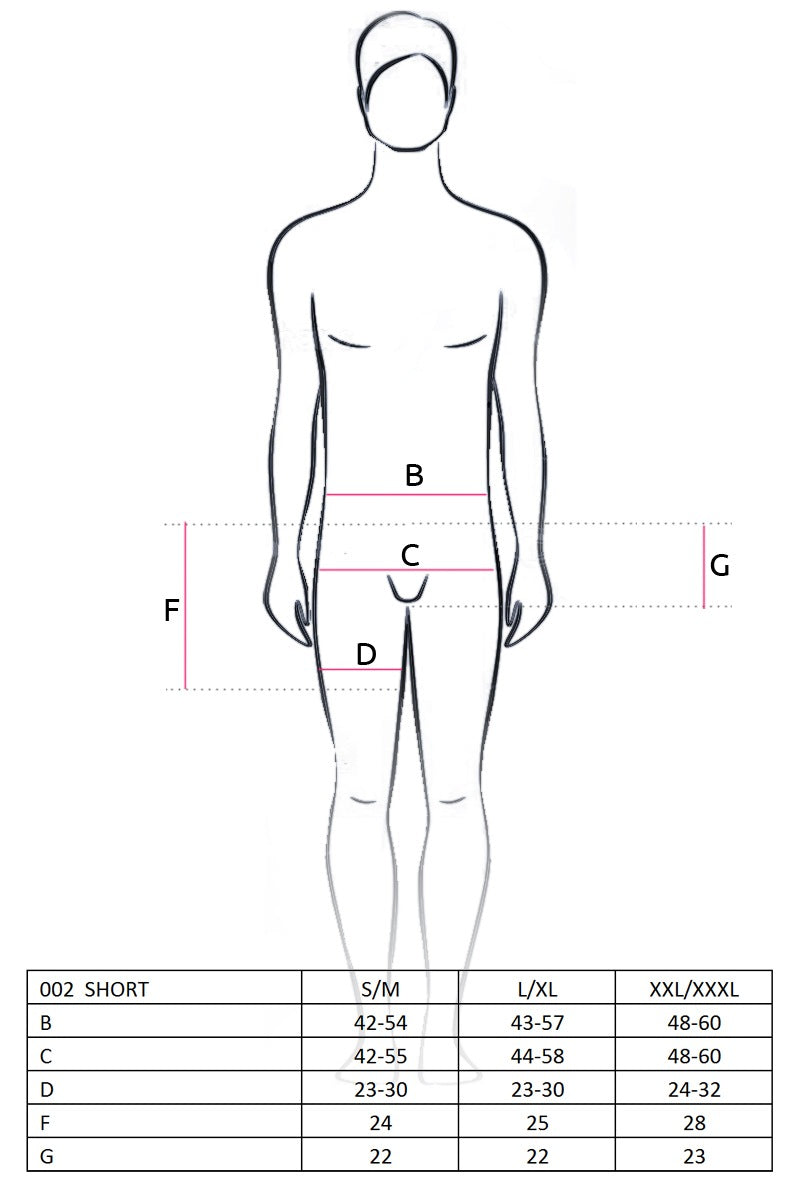 Мужские шорты с серебристой вставкой 002 Short