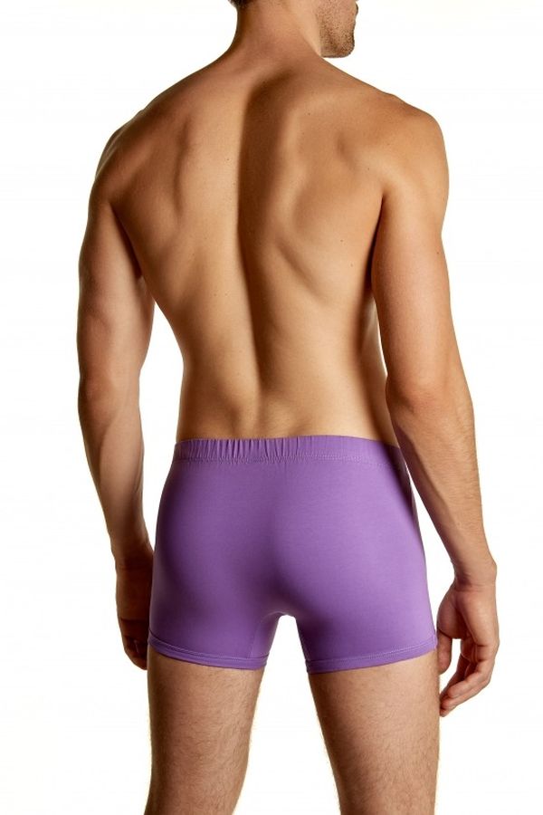 Трусы-шорты мужские 6129 AA 13 violet