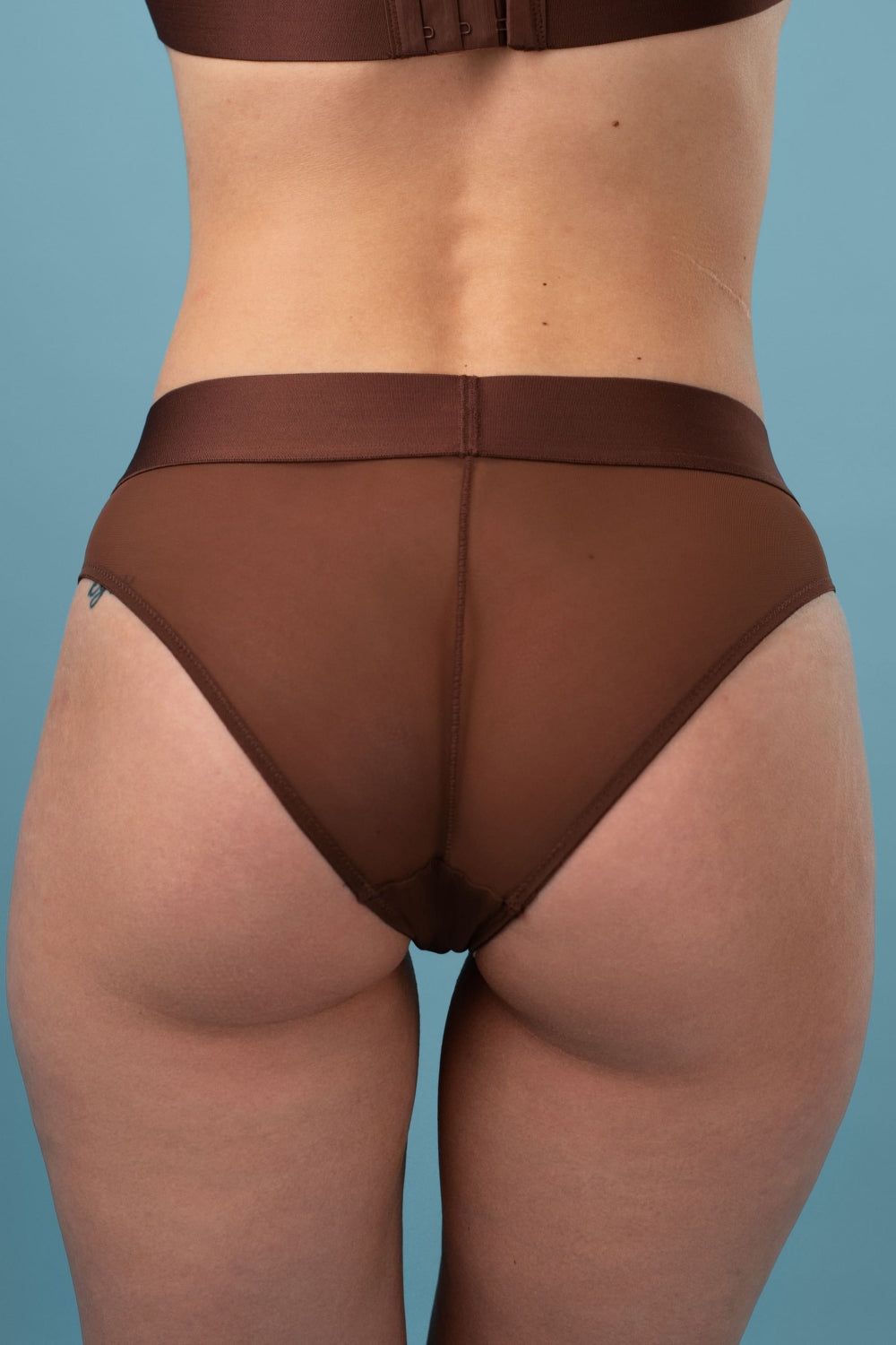 Трусики слип из микросетки SLZ22102011/211SC brown