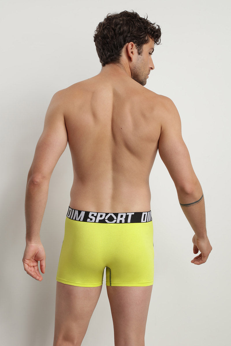 Мужские трусы шорты из хлопка D08EX Sport (3 шт.) gris/bleu/vert