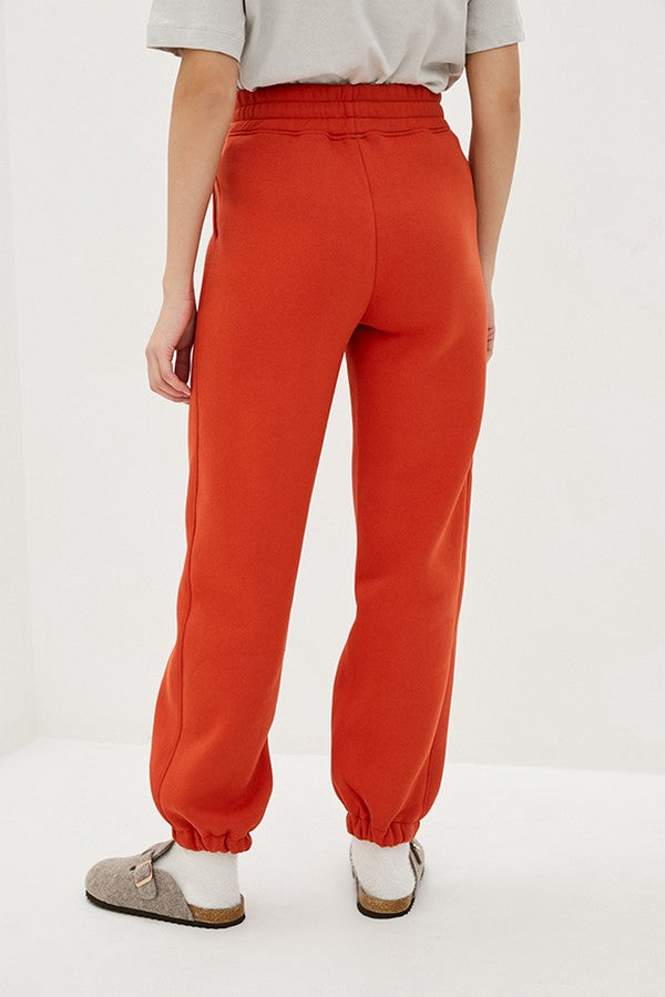 Трикотажные брюки на флисе Brick TR0043-82-09