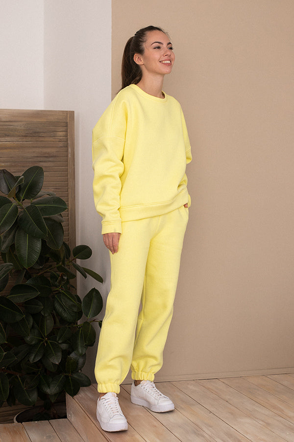 Трикотажные брюки на флисе Lemon TR0052-89-09