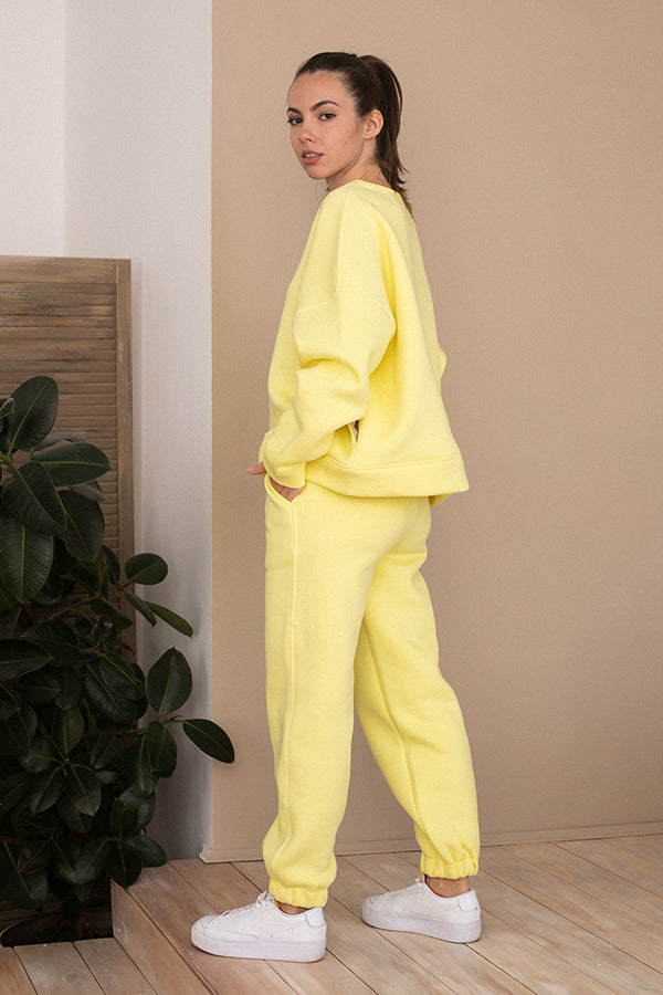 Трикотажные брюки на флисе Lemon TR0052-89-09