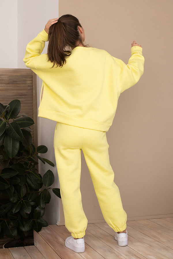 Трикотажные брюки на флисе Lemon TR0052-89-09