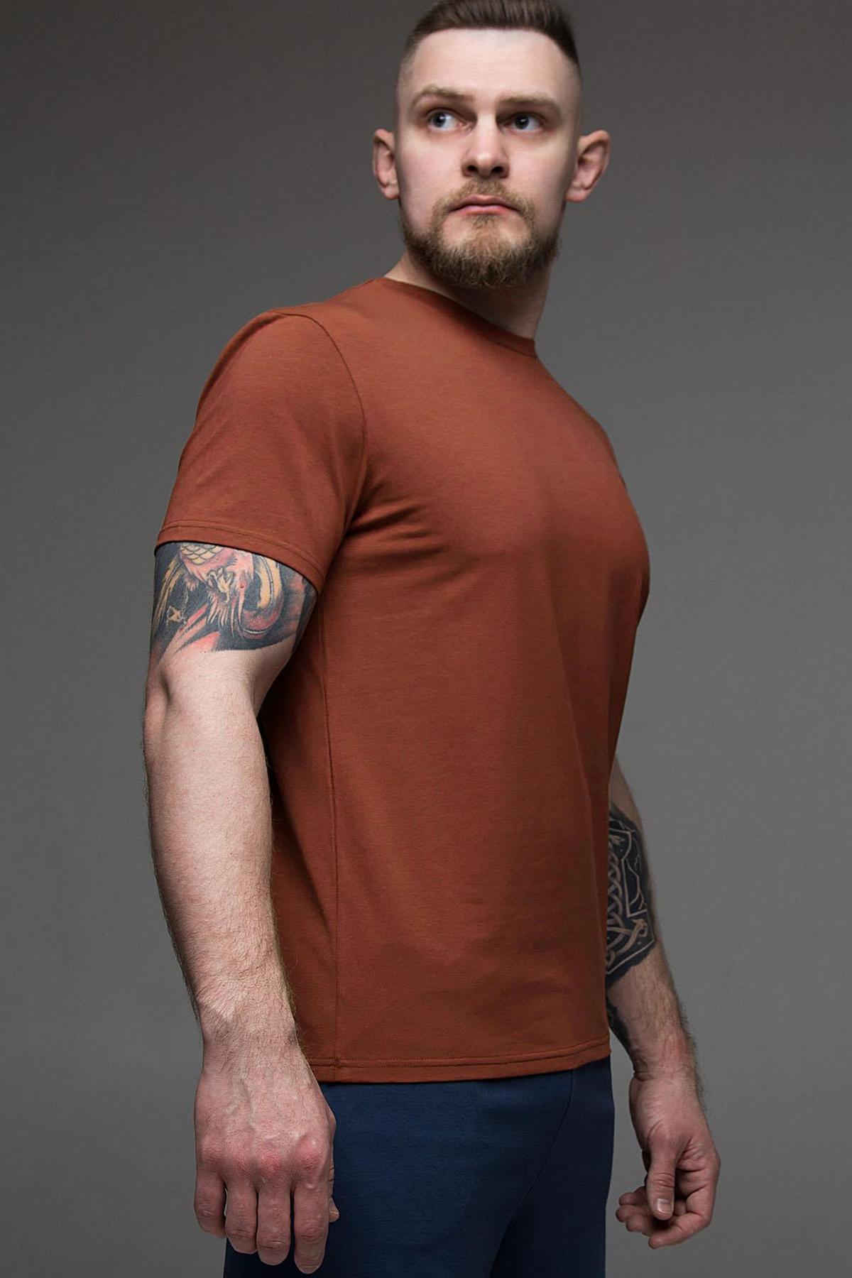 Мужская футболка 1207/16123