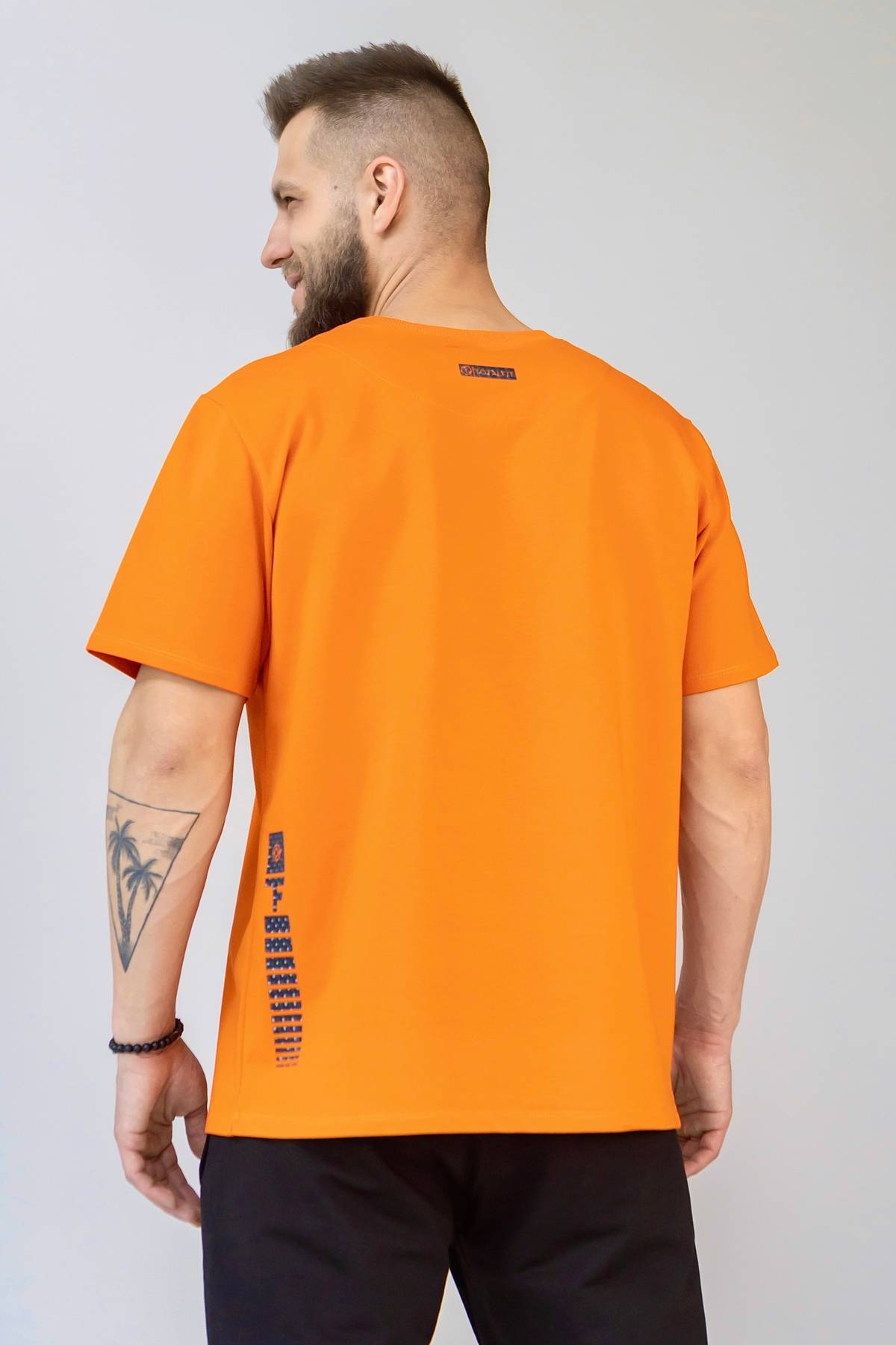 Мужская футболка RMLD1-LD58