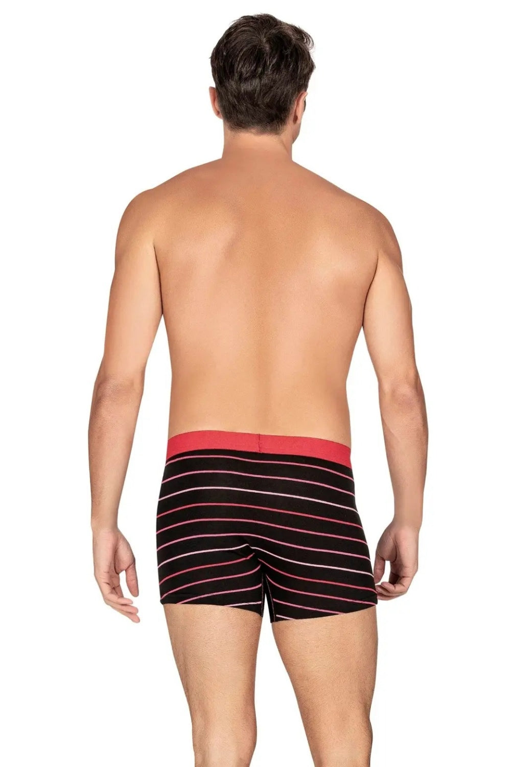 Мужские трусы шорты в полоску 149 black