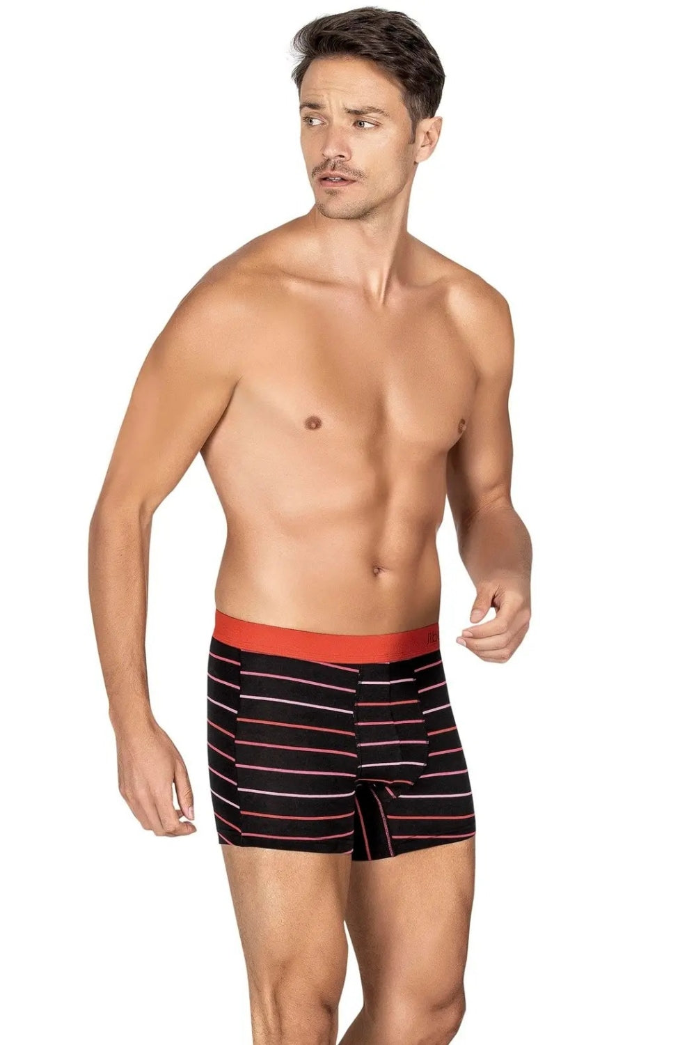 Мужские трусы шорты в полоску 149 black