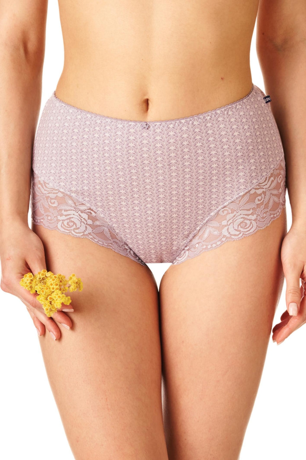 Высокие трусики слип из хлопка LPF 569 A23 (2 шт.)